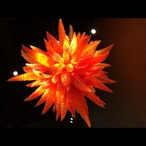 Meet your Posher, Erika